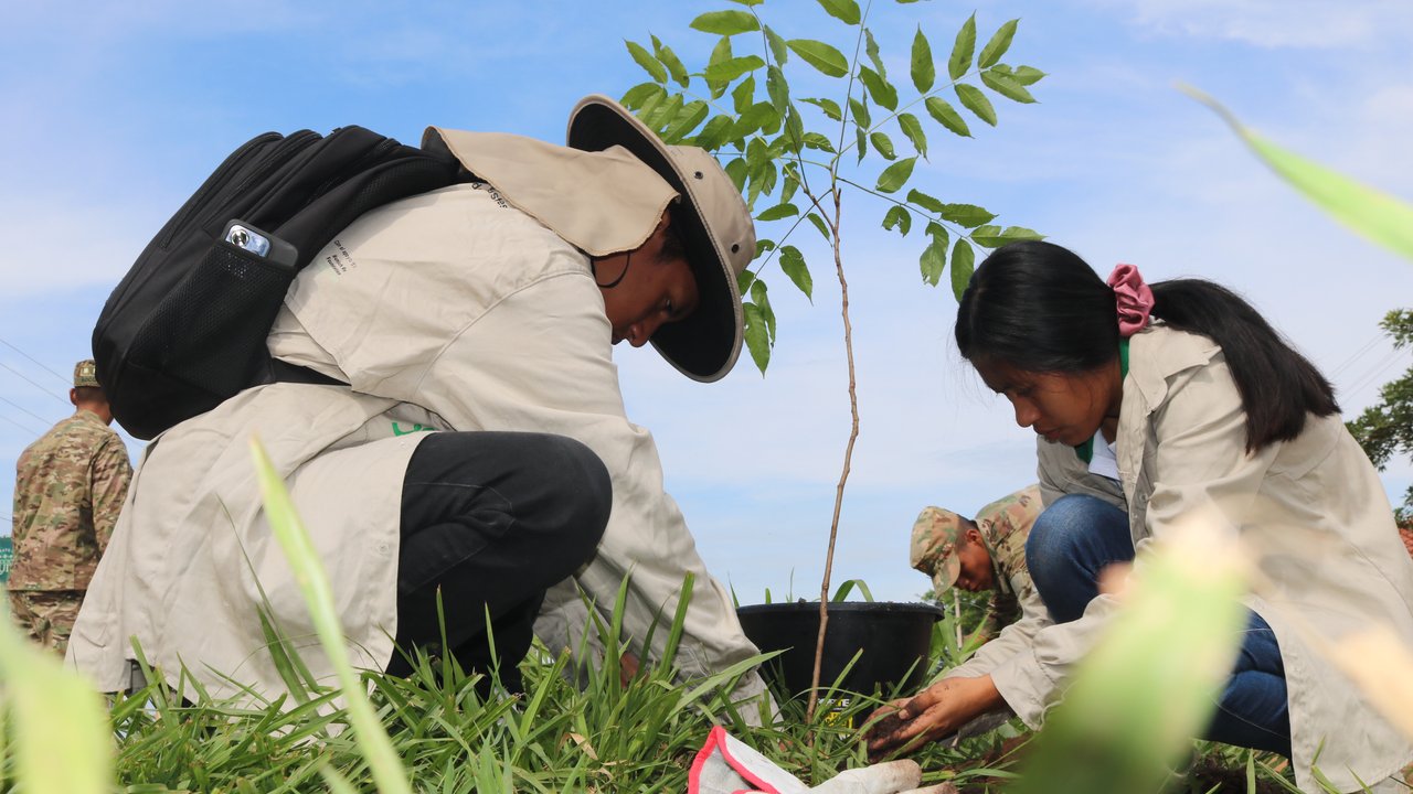 Two people planting a small tree in a grassy area, with a soldier in the background.