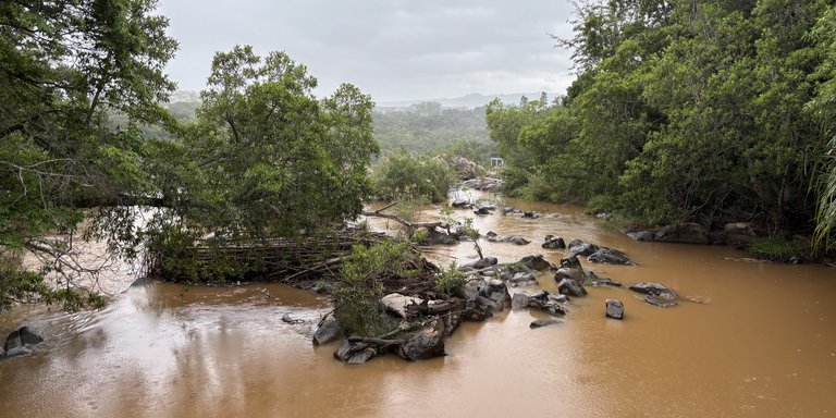 Polluted river in Inkomati River Basin Polluted river in Inkomati River Basin