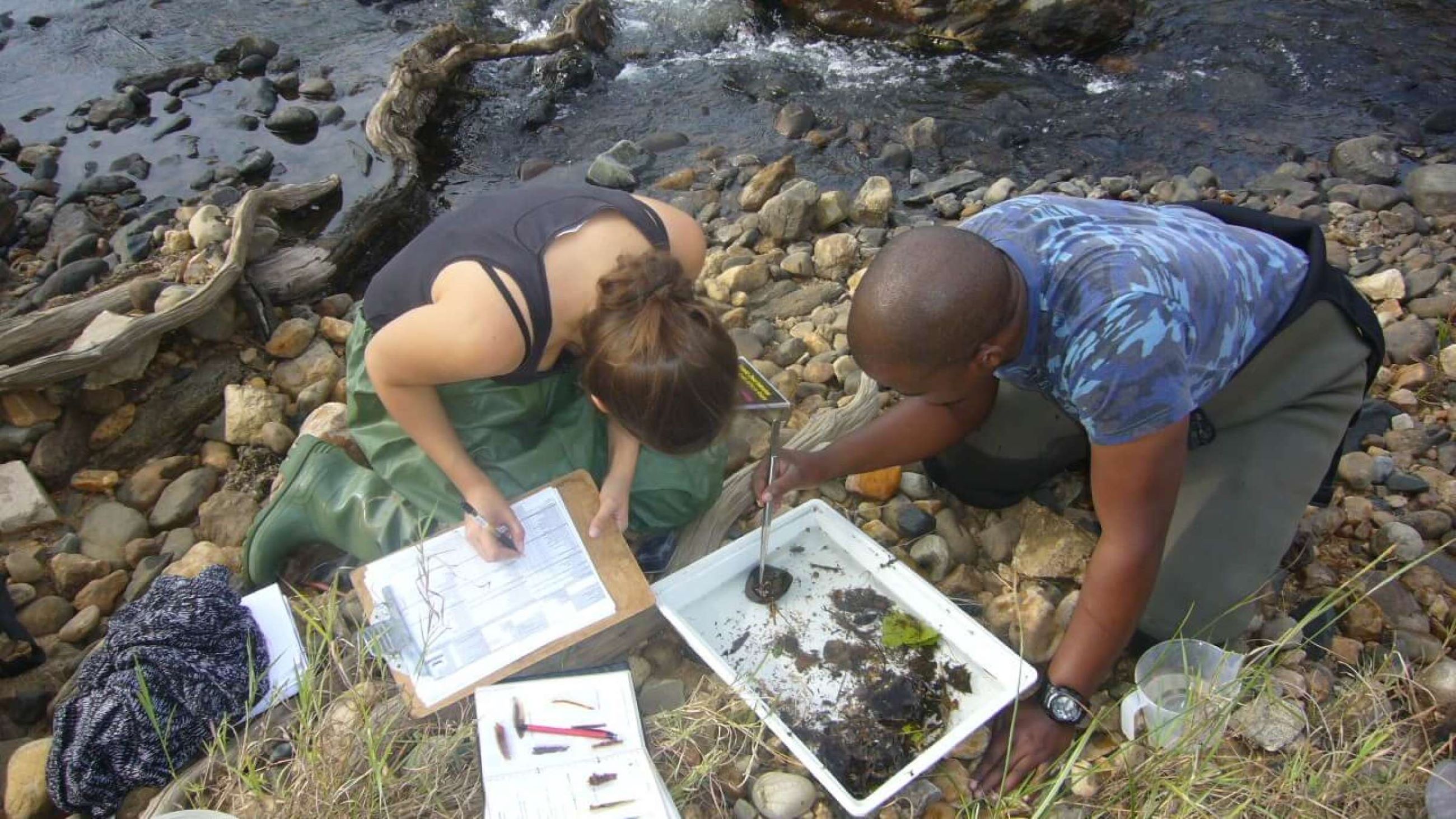 Taking water samples