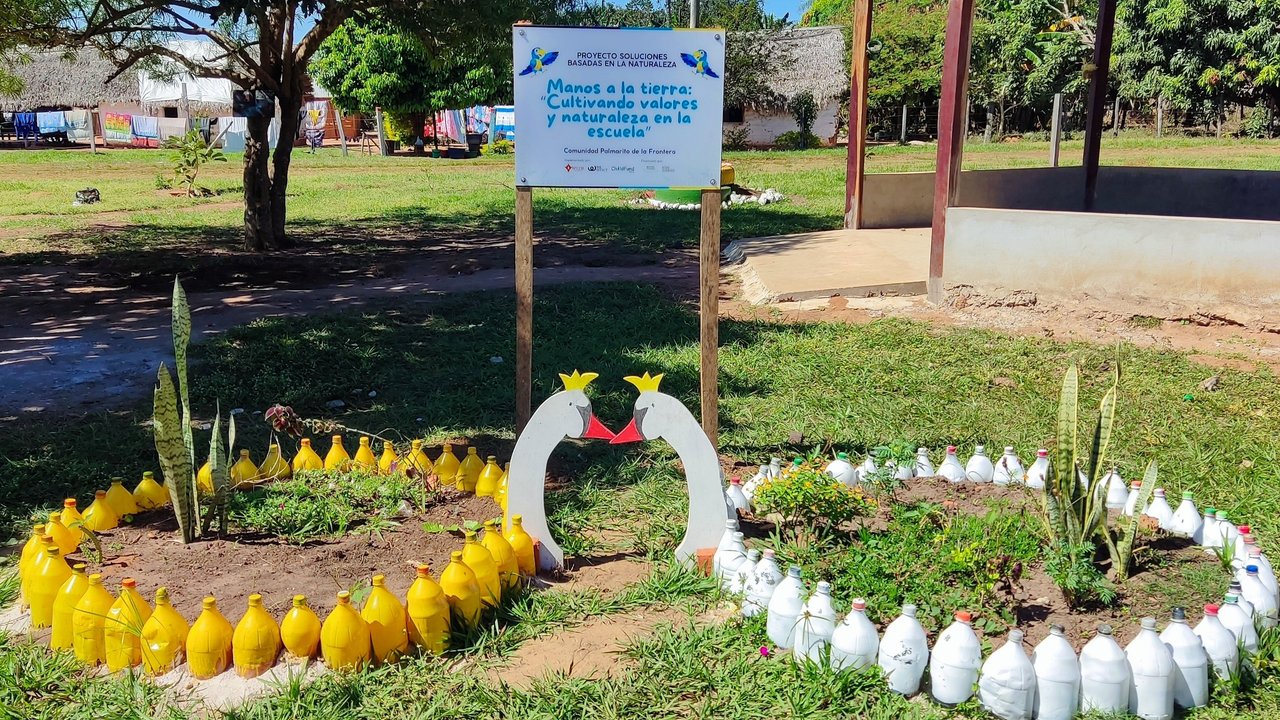 A community recycling initiative transforms plastic bottles into decorative garden borders in the schoolyard