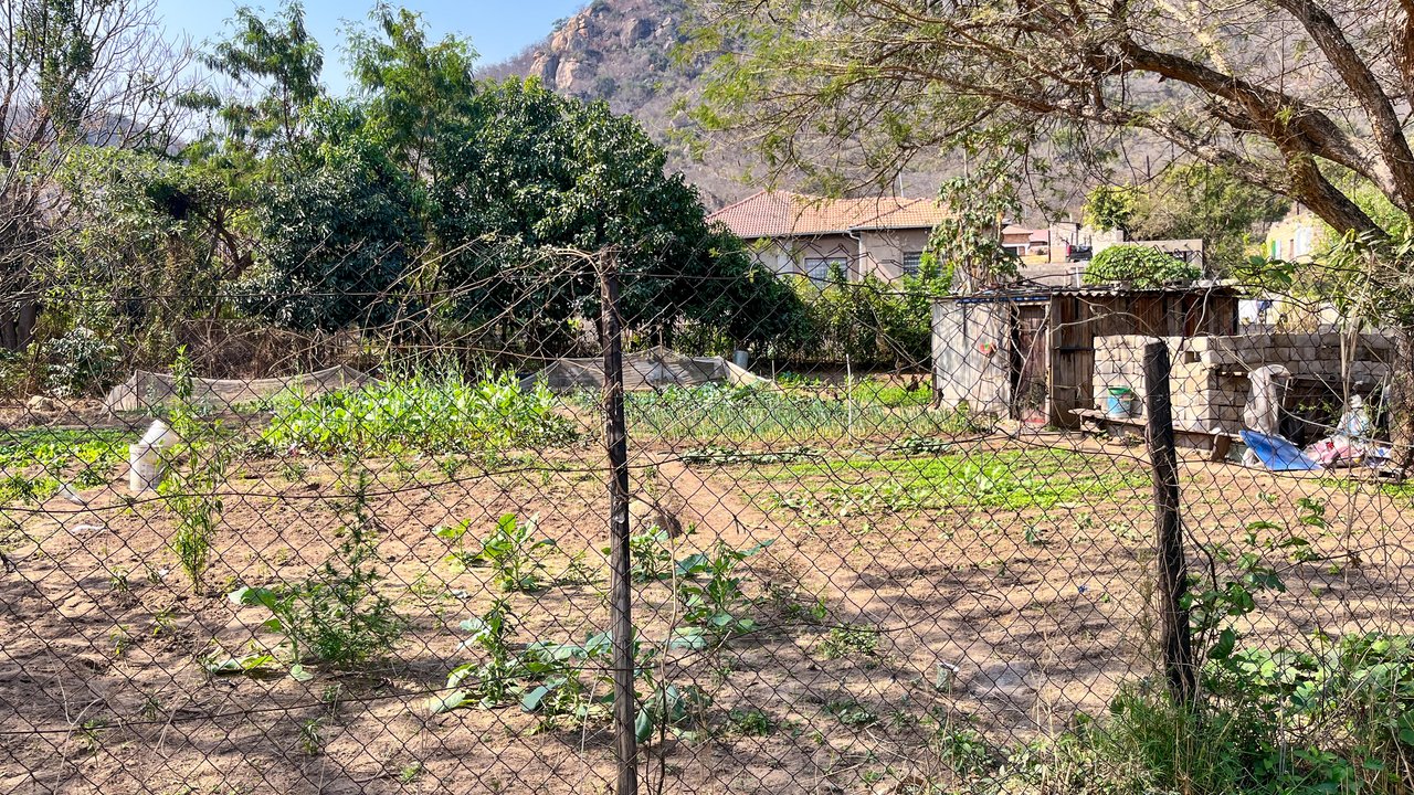 Garden in local community