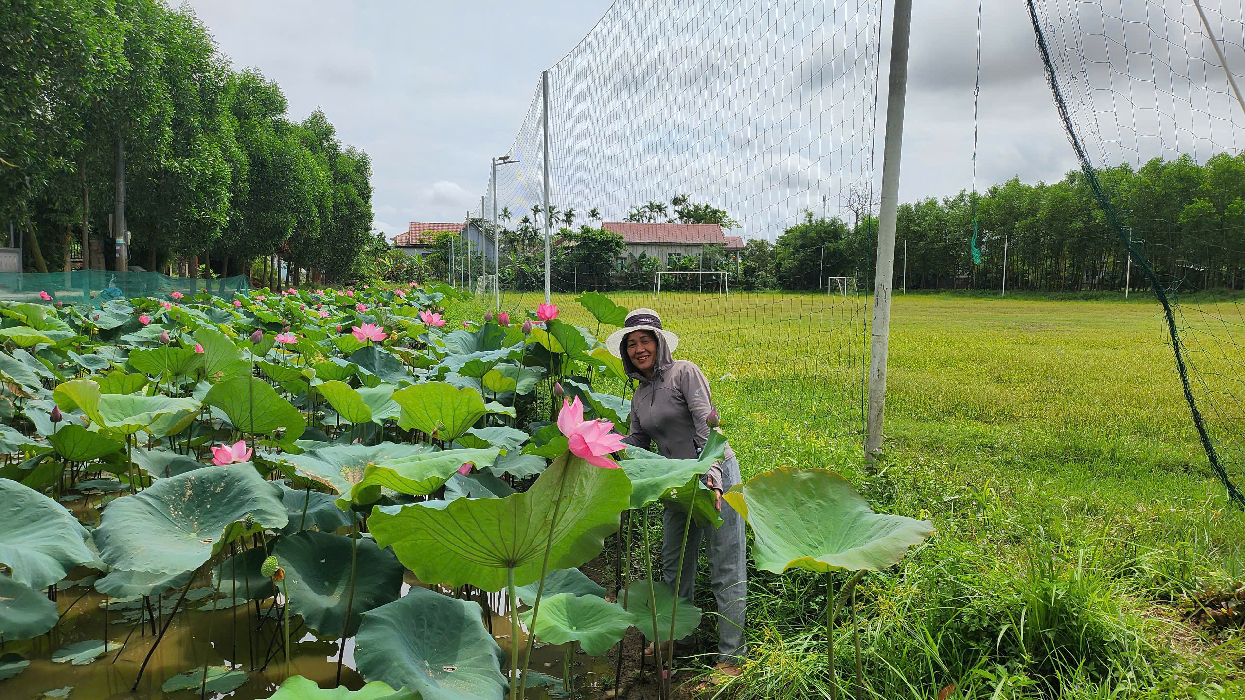 A smiling woman in a hat stands beside a lotus pond full of large green leaves and pink flowers. In the background there is an open grassy field with trees, and buildings under a cloudy sky