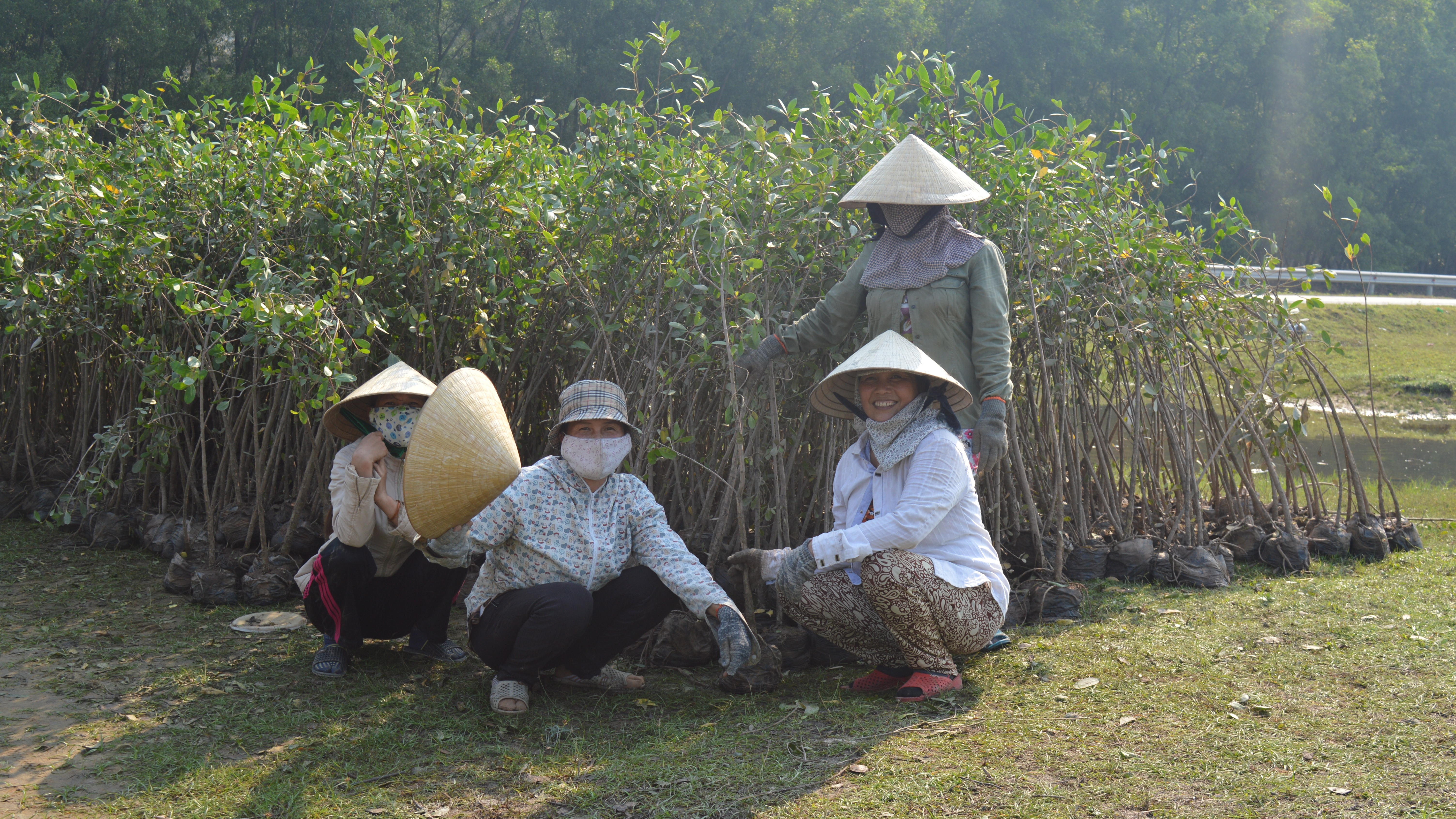 2021 RISK Award Women Mangroves