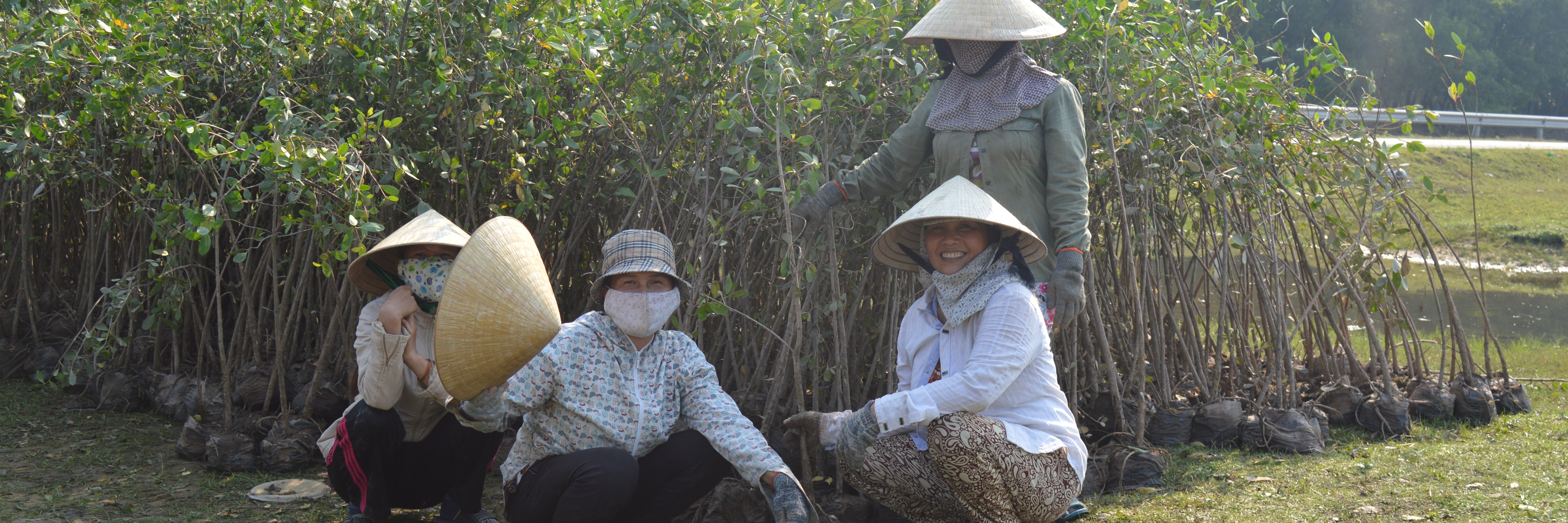 Workers at Mangrove Nursery