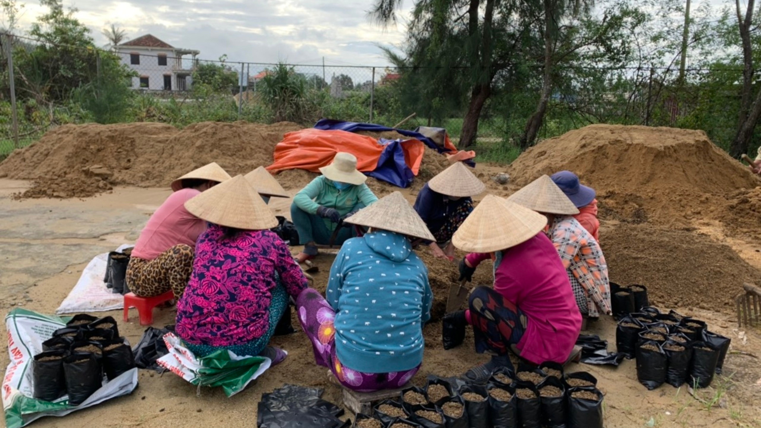 Preparation of soil packs