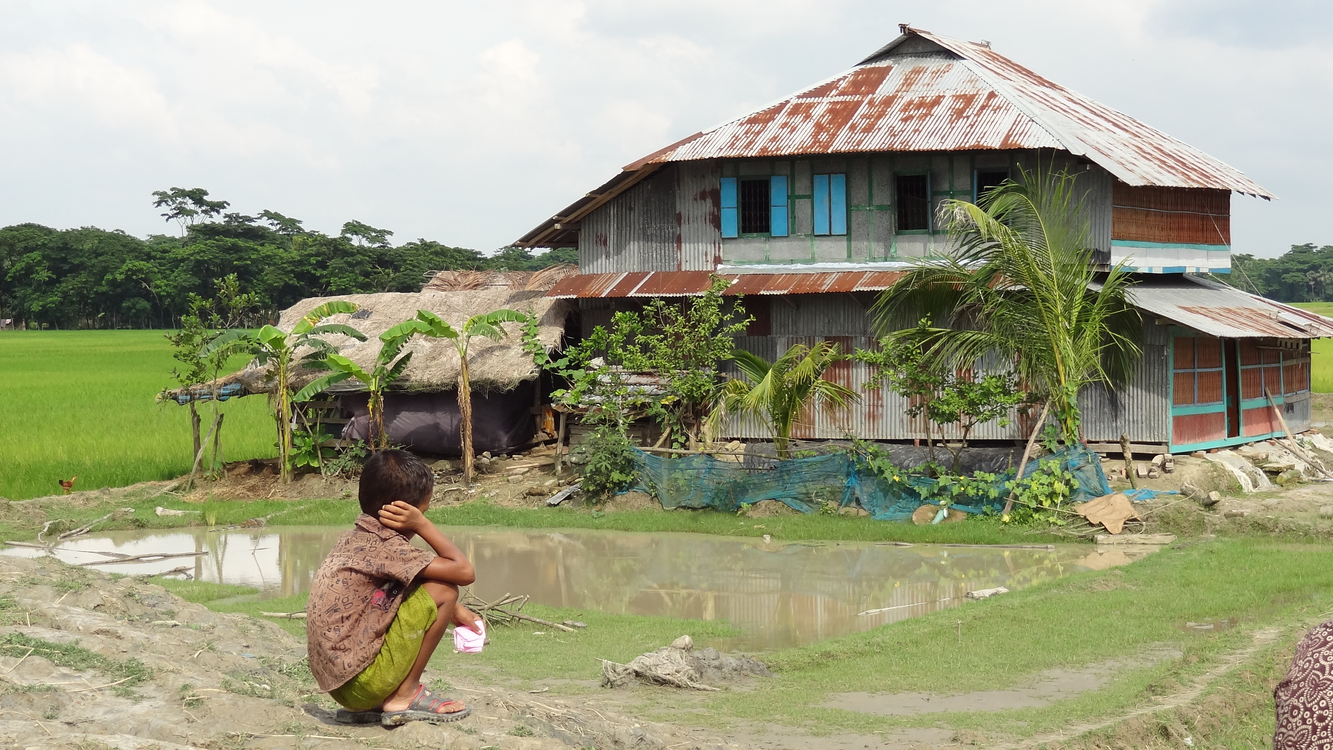 Disaster Risk Reduction Archive
