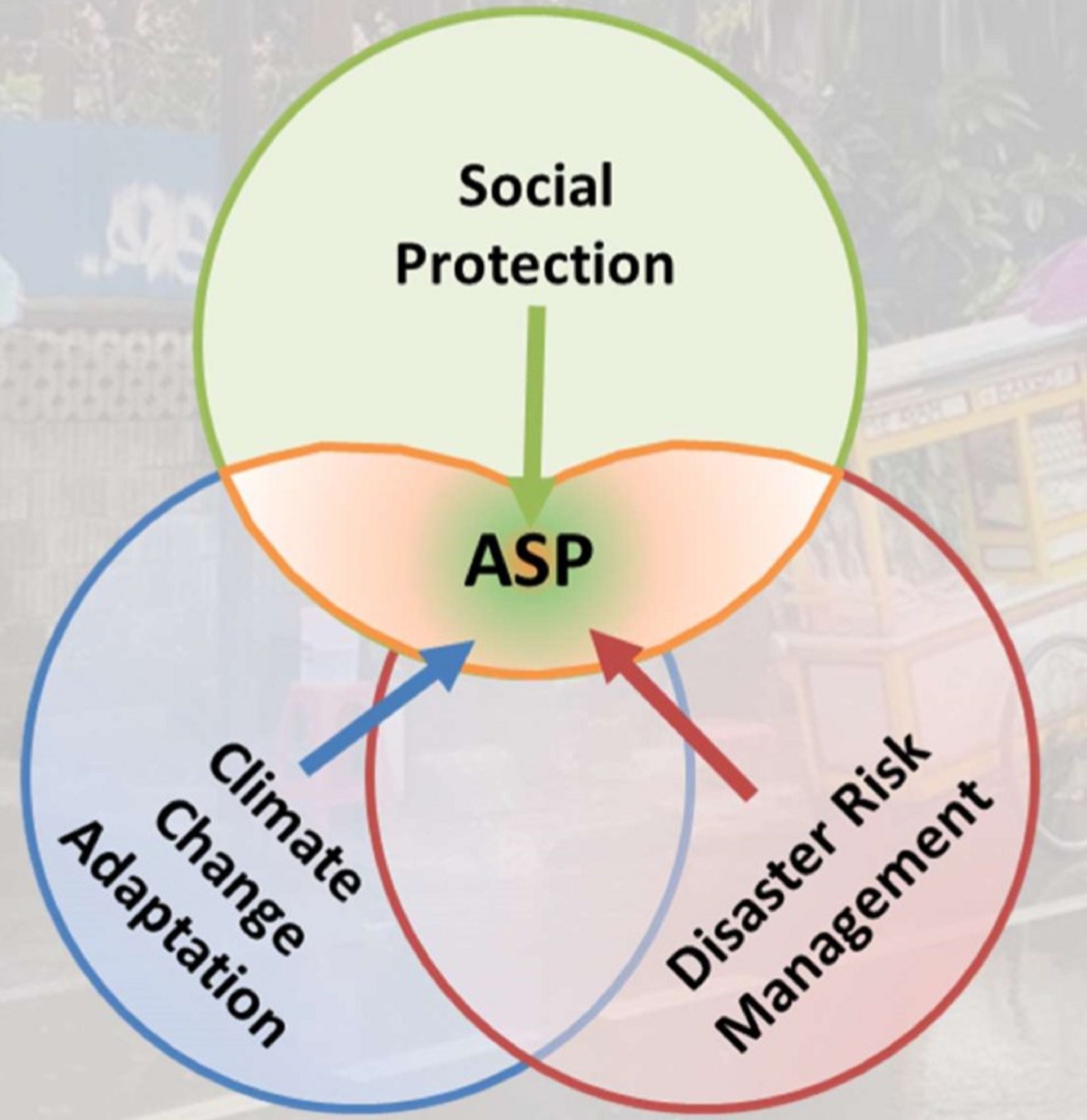Adaptive Social Protection Adaptive Social Protection