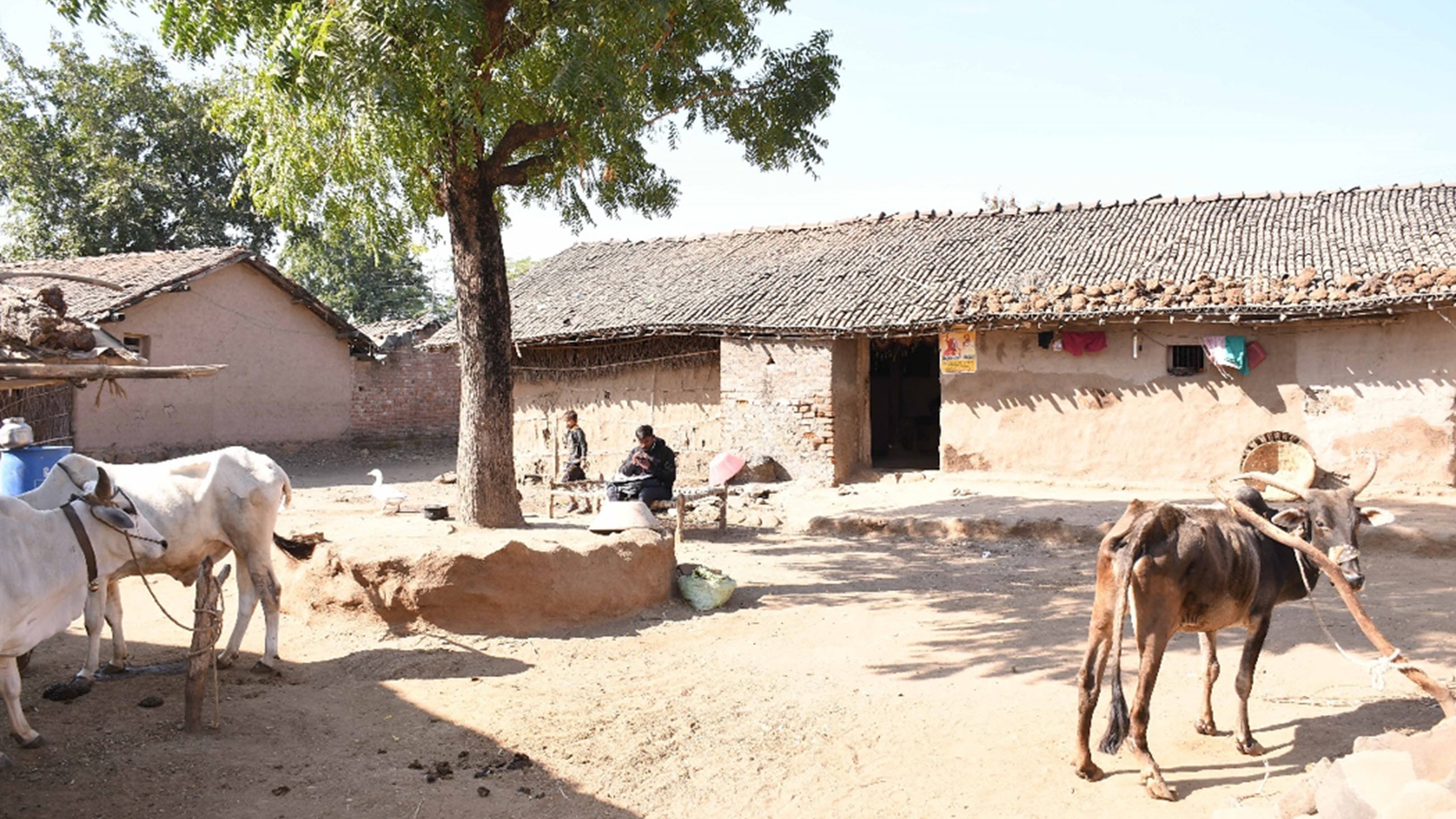 animals and people on a square in front of a house